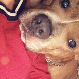 Meet your Posher, Desiree